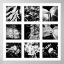 Suche nach mosaik blumen poster Blumenreich
