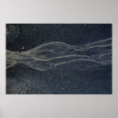 Suche nach schwarze schlange poster Natur