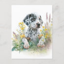 Suche nach dalmatiner hund postkarten Aquarell