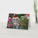 Suche nach dumbo postkarten Haustier