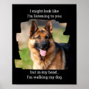Suche nach lustige haustiere poster Beliebt
