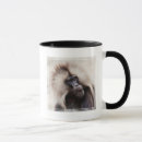Suche nach baboon tassen Tierwelt