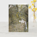 Suche nach strukturiert karten Botanisch