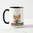 Suche nach akita inu tassen Hund