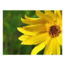 Suche nach pollen poster Blume