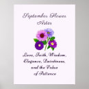 Suche nach aster poster Blume