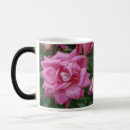 Suche nach liebe und freundschaft tassen Rose