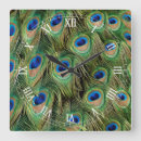 Suche nach peacock alle wanduhren Jede person