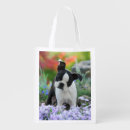 Suche nach boston terrier accessoires Welpe