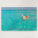 Suche nach schweine puzzle Für kinder