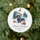 Suche nach dachshund ornamente Wiener hund