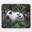 Suche nach rex mousepads Häschen