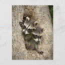 Suche nach gefangen postkarten Loch