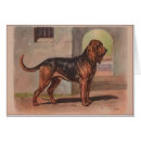 Suche nach jagdhunde postkarten Bluthund
