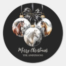 Suche nach goldenes pferd aufkleber Reiter