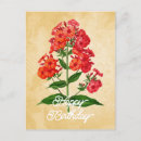 Suche nach phlox karten Blüte
