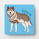 Suche nach siberian Alaskan malamute