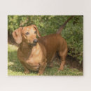 Suche nach weiner puzzle Welpen