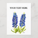 Suche nach texas bluebonnet postkarten Lupine