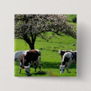 Suche nach apfelbaum buttons Landwirtschaft
