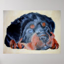 Suche nach rottweiler poster Haustier