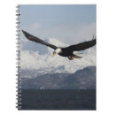 Suche nach adler kleine notizbücher Tierwelt