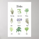 Suche nach kräuter und gewürze poster Biologisch