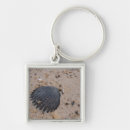 Suche nach kammer schlüsselanhänger Kamm muschel