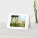 Suche nach jasmin karten Jede person