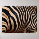 Suche nach haut poster Schwarz