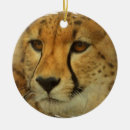 Suche nach gepard ornamente Wild lebende tiere
