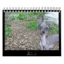 Suche nach chinesisch kalender 2012