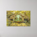 Suche nach grüner frosch leinwandbilder Toad
