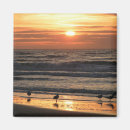 Suche nach möwe magnete Für alle