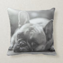 Suche nach französische bulldogge kissen Bulldoggen