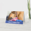 Suche nach hunde humor karten Für sie
