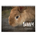 Suche nach hasen kalender Kaninchen