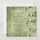 Suche nach gartennelken postkarten Weiß