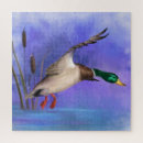 Suche nach duck puzzle Enten