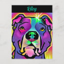 Suche nach pitbull dog postkarten Grubenbulle