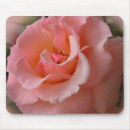 Suche nach pfirsich rosen mousepads Romantisch