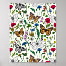Suche nach glockenblume poster Botanisch