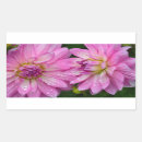 Suche nach rosa dahlie blumen aufkleber Für alle