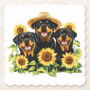 Suche nach rottweiler untersetzer Welpe