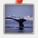 Suche nach wal schwanz ornamente Buckel