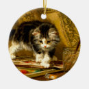 Suche nach vintage katzen ornamente Lustig