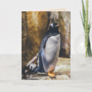 Suche nach kaiser pinguine karten Tierwelt