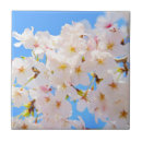 Suche nach kirschblüte fliesen Für sie