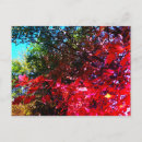 Suche nach japanischer ahorn postkarten Natur