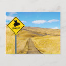 Suche nach schweine können fliegen postkarten Schweine mit flügeln